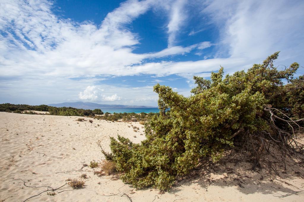 Villa Alyko Spiaggia di Aliko Esterno foto