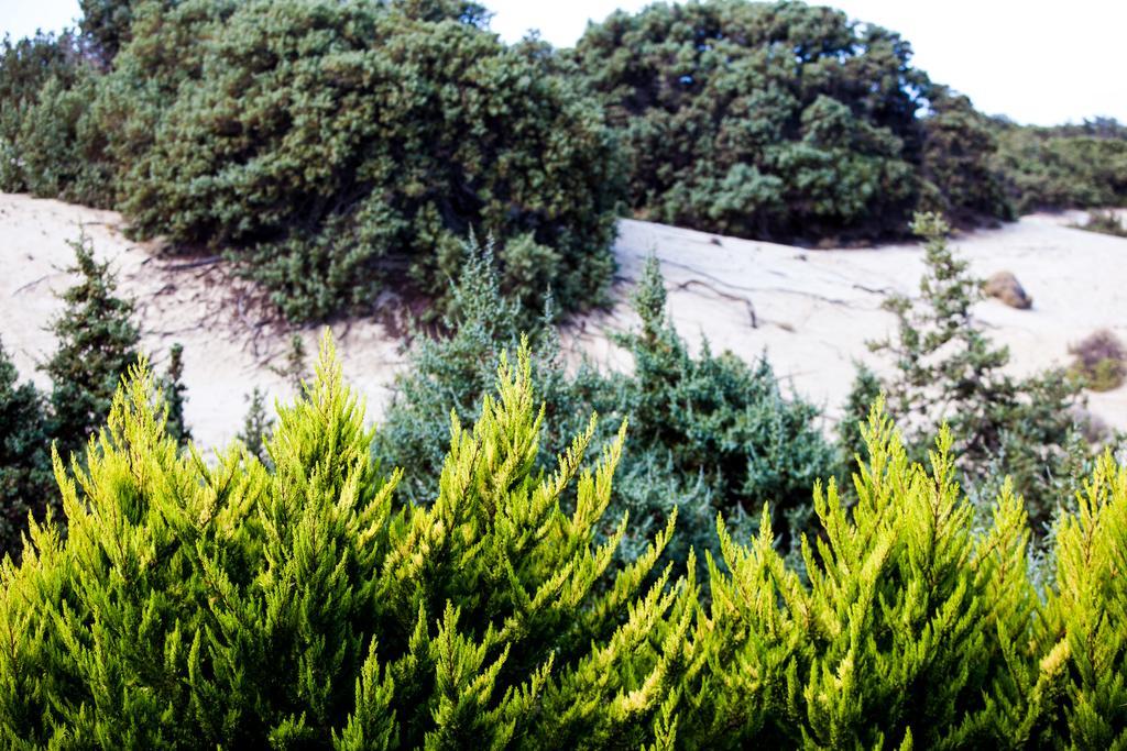 Villa Alyko Spiaggia di Aliko Esterno foto