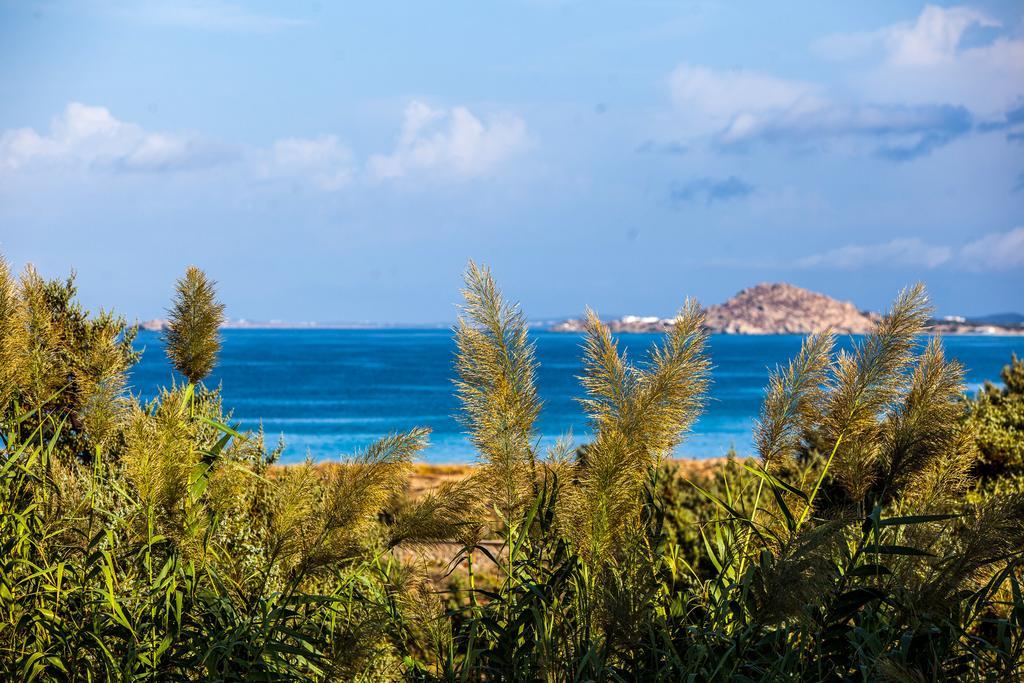 Villa Alyko Spiaggia di Aliko Esterno foto