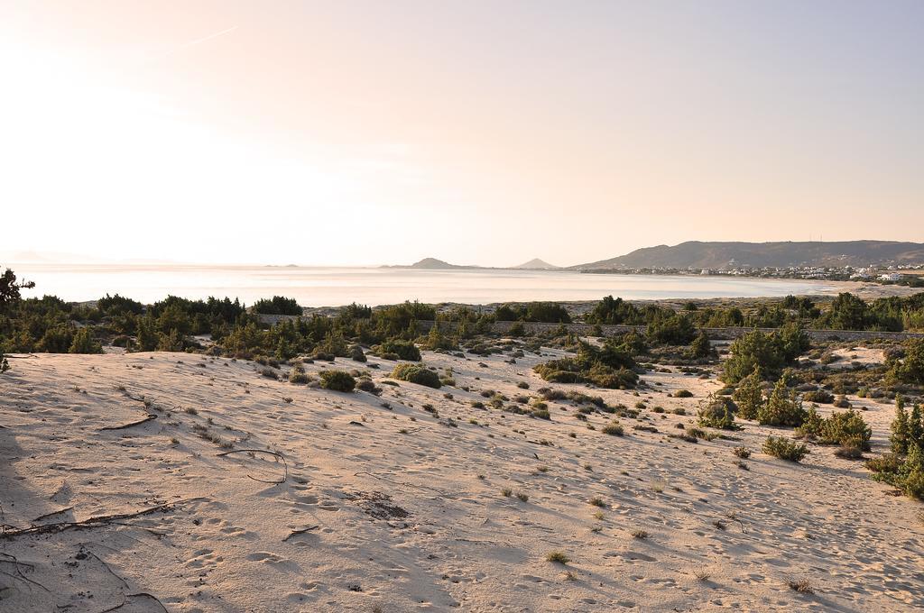 Villa Alyko Spiaggia di Aliko Esterno foto